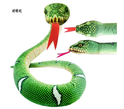 树蟒蛇